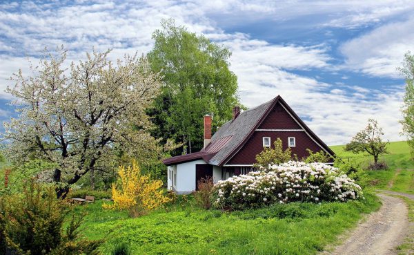 Effectiever verhuizen